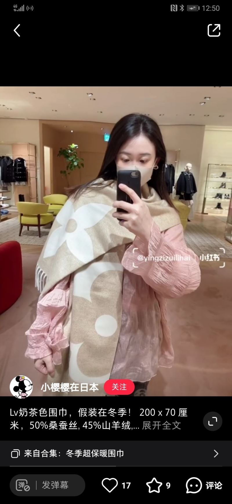 Louis Vuitton Scarf